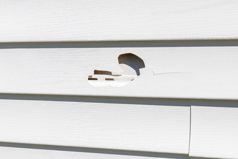 Inspecting Siding Damage